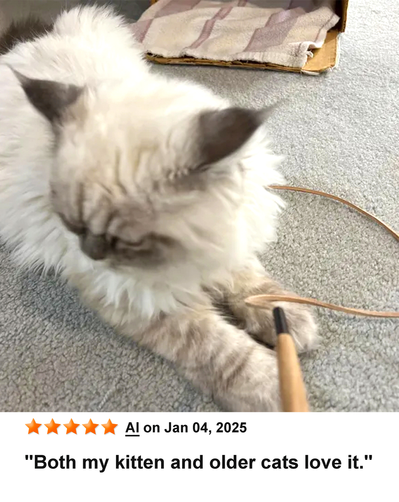 KittyWhip Kitties with Reviews