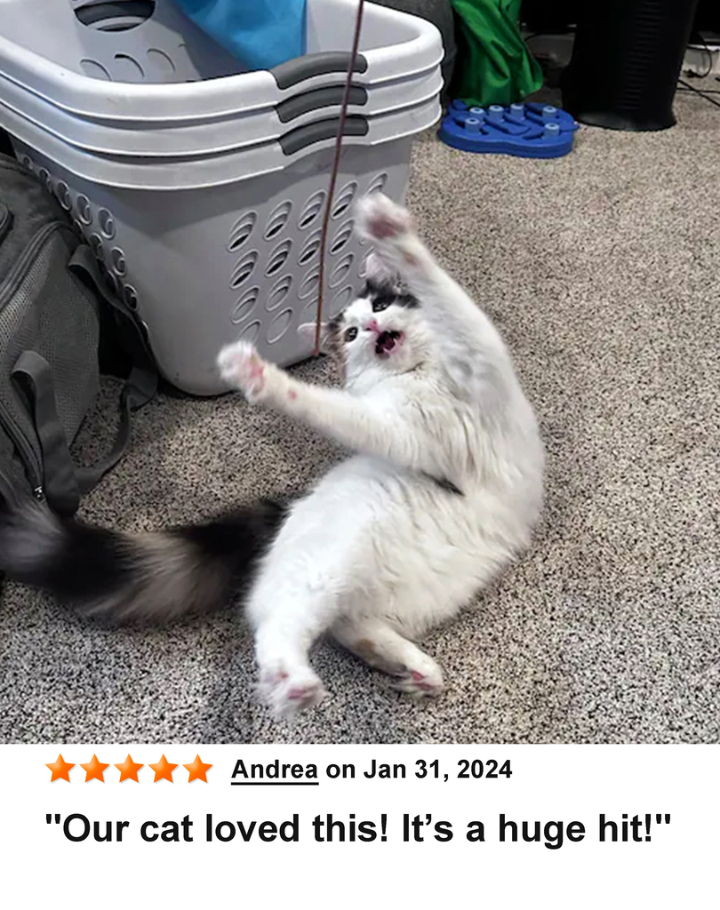 KittyWhip Kitties with Reviews