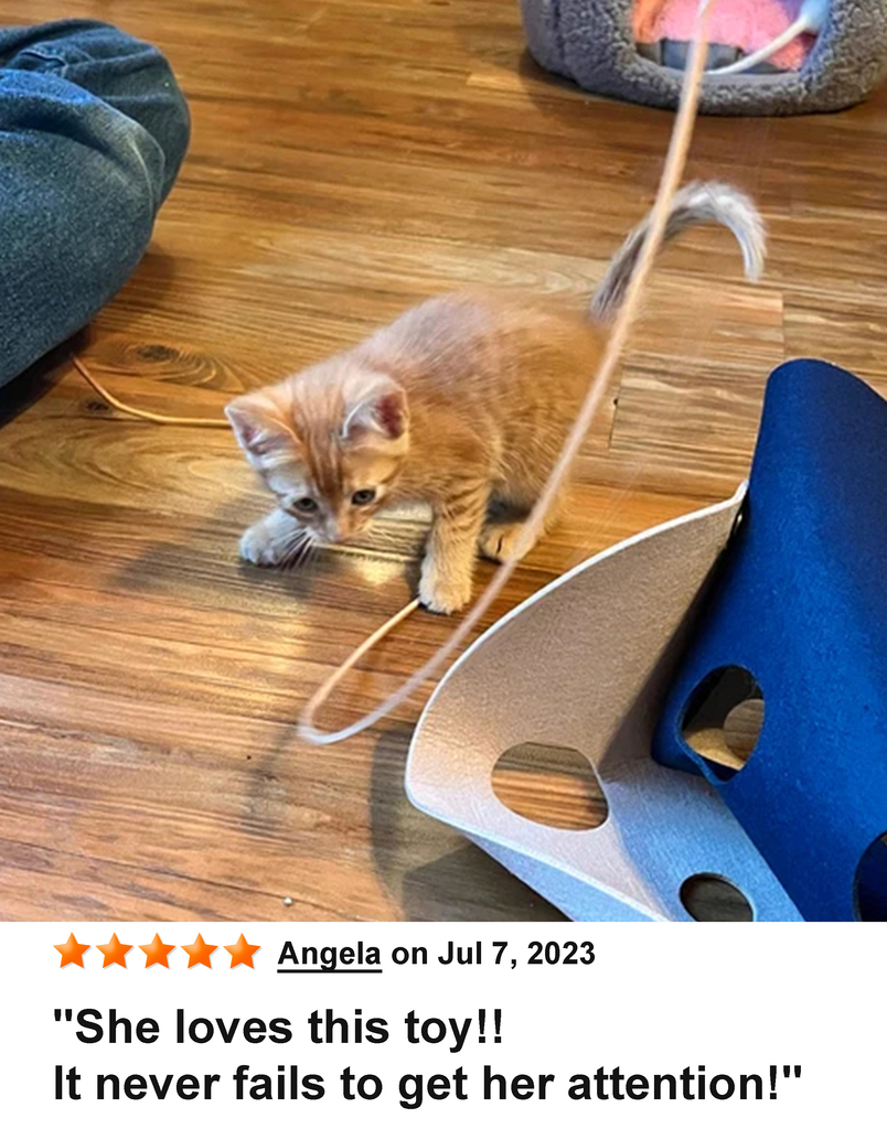 KittyWhip Kitties with Reviews
