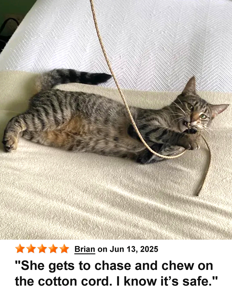 KittyWhip Kitties with Reviews