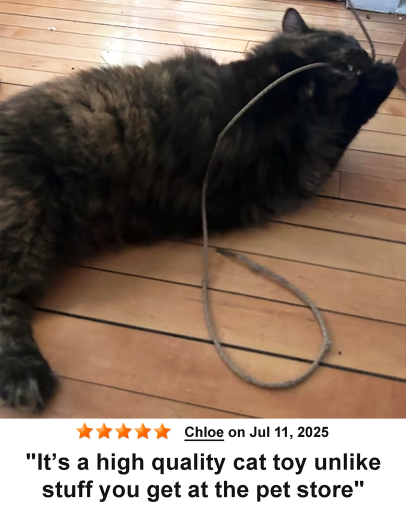 KittyWhip Kitties with Reviews
