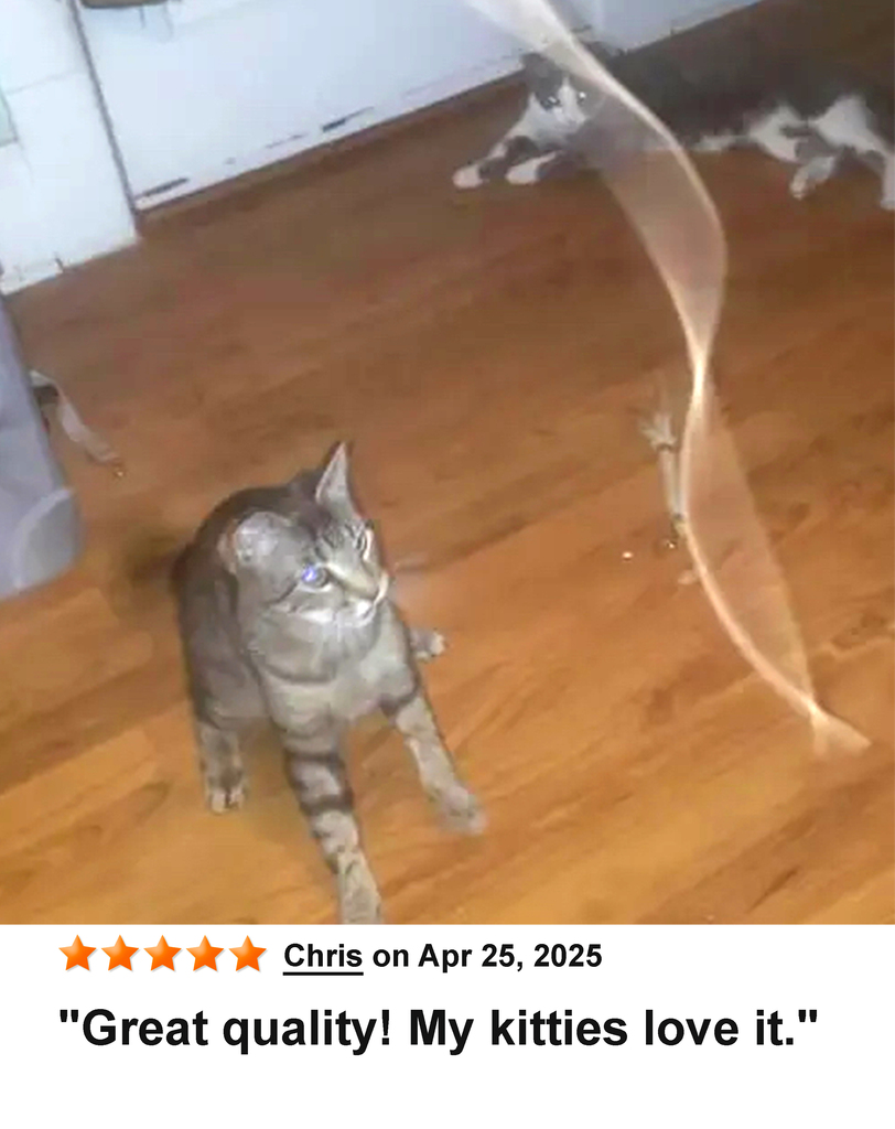 KittyWhip Kitties with Reviews
