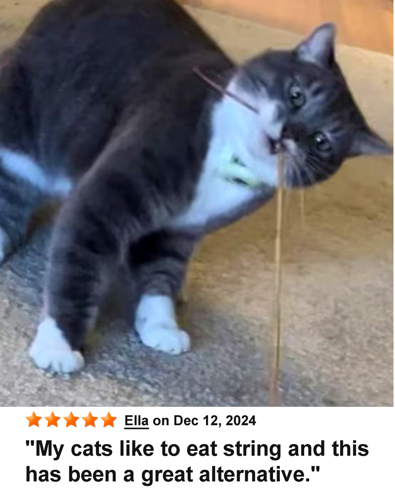 KittyWhip Kitties with Reviews