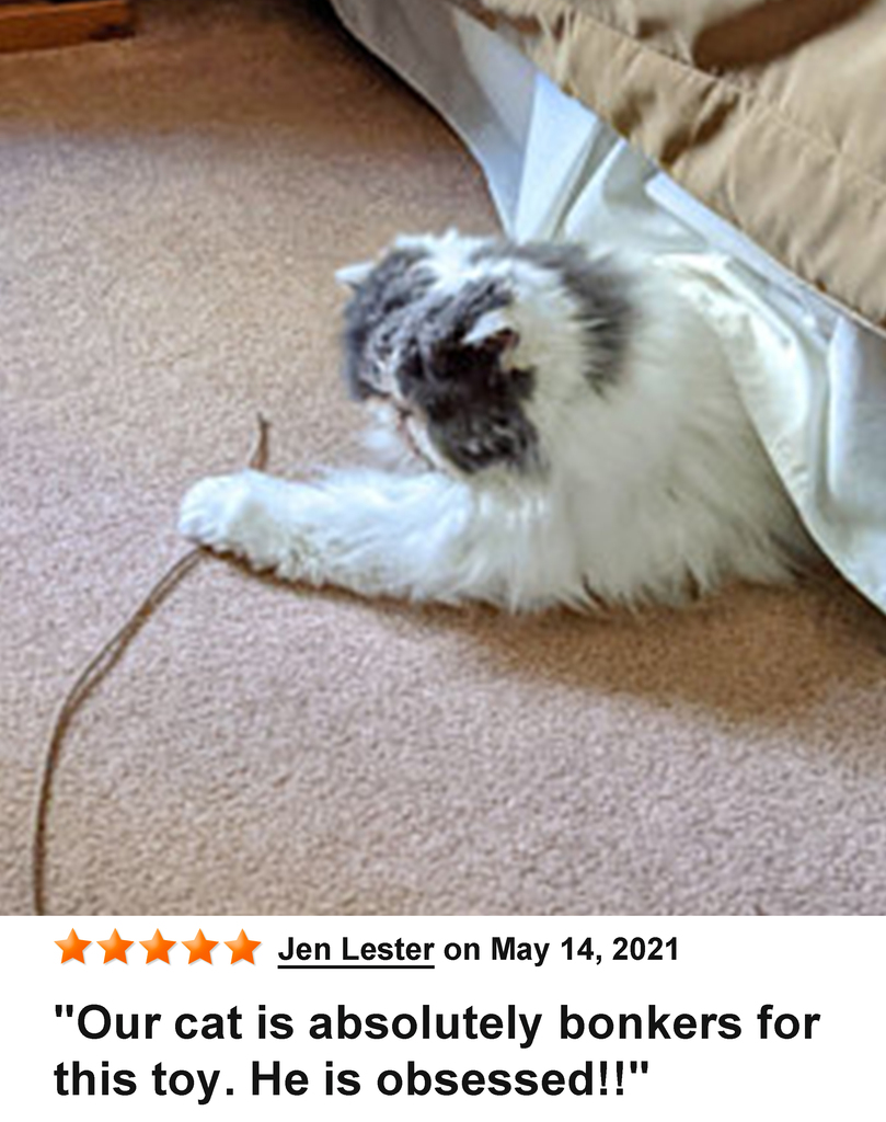 KittyWhip Kitties with Reviews