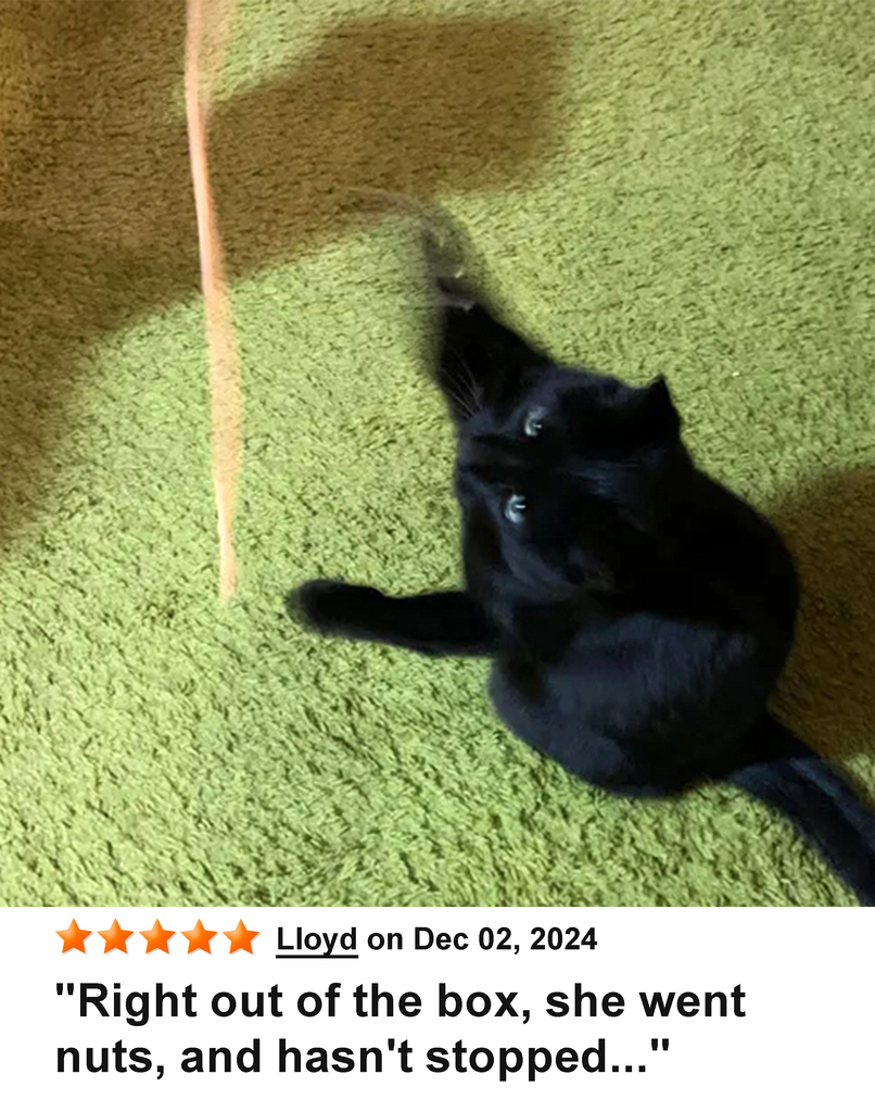 KittyWhip Kitties with Reviews