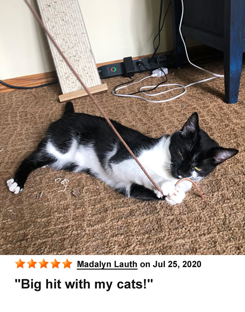 KittyWhip Kitties with Reviews