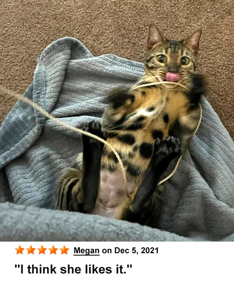 KittyWhip Kitties with Reviews