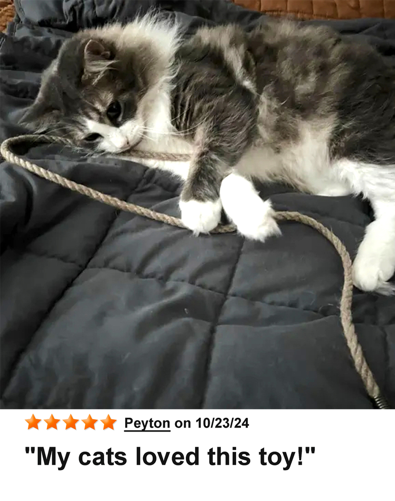 KittyWhip Kitties with Reviews