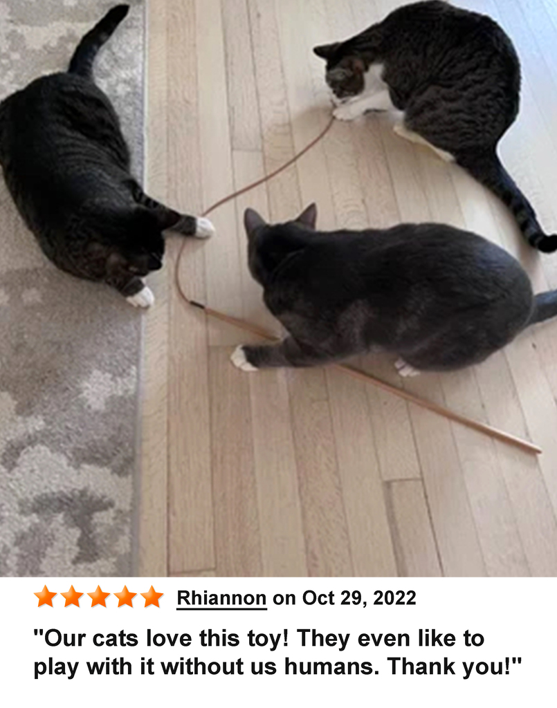 KittyWhip Kitties with Reviews