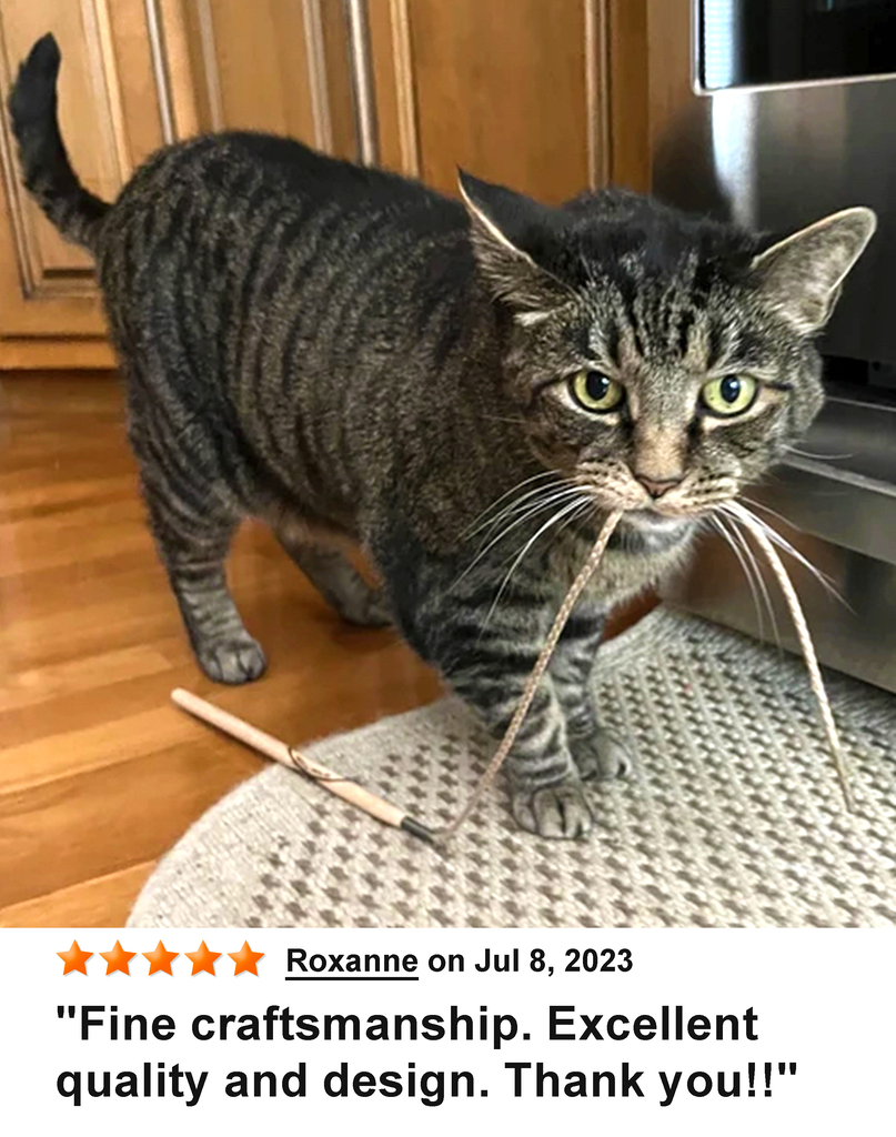 KittyWhip Kitties with Reviews