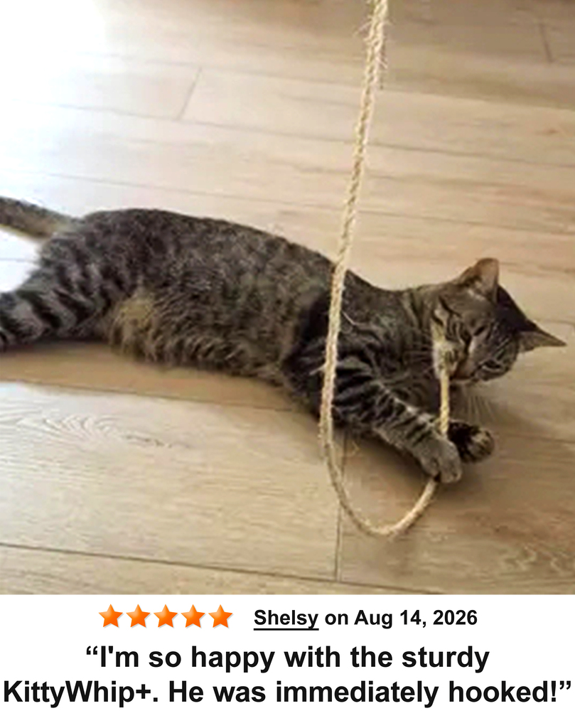 KittyWhip Kitties with Reviews