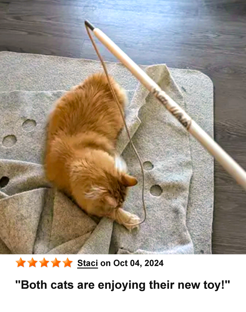 KittyWhip Kitties with Reviews