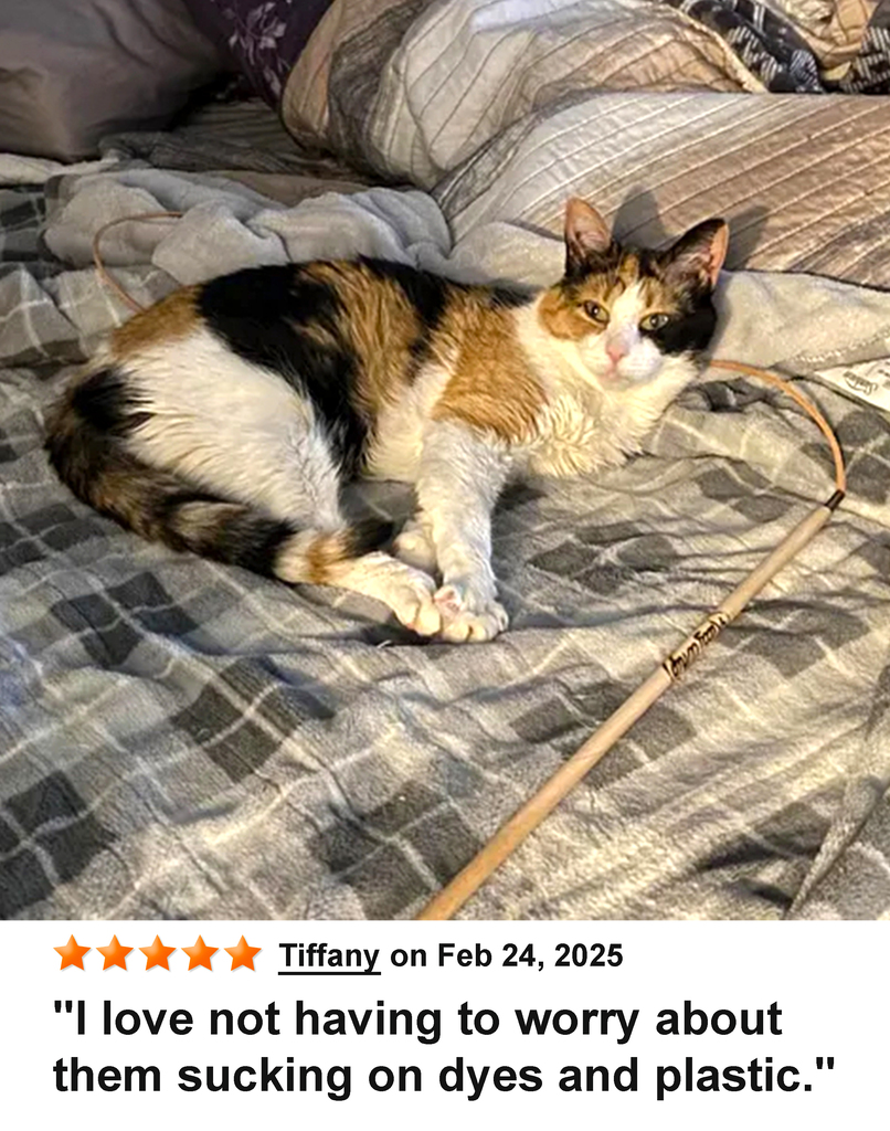 KittyWhip Kitties with Reviews