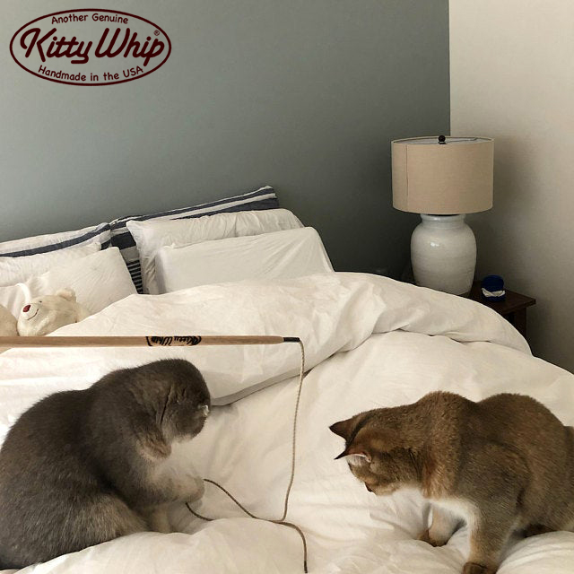 KittyWhip Kitties