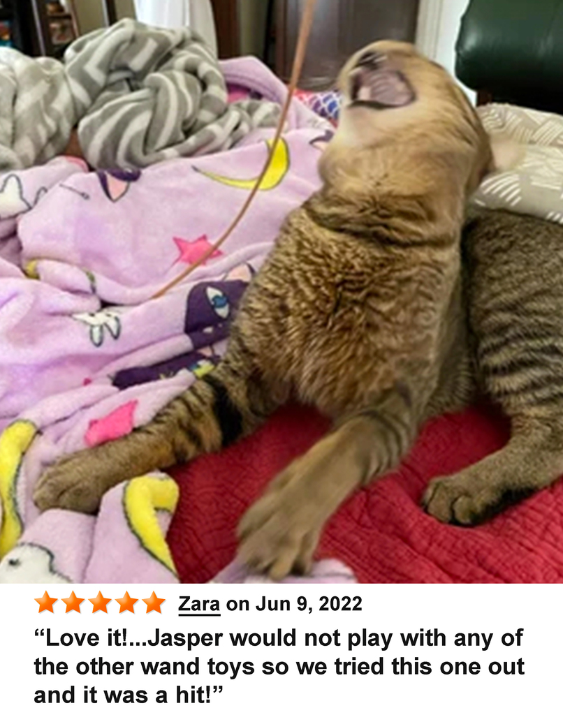 KittyWhip Kitties with Reviews