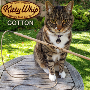 KittyWhip Cotton