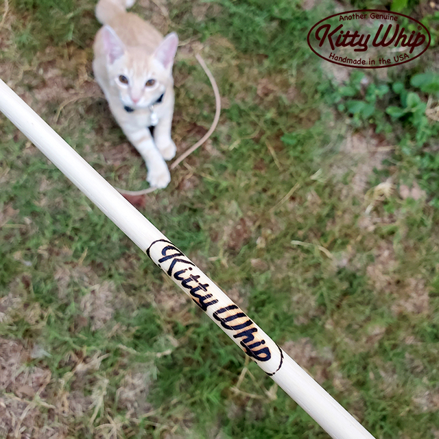 KittyWhip Kitties