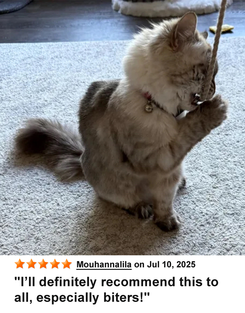 KittyWhip Kitties with Reviews